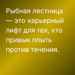 Рыбная лестница — это карьерный лифт для тех, кто привык плыть против течения.