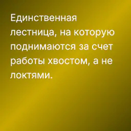 Единственная лестница, на которую поднимаются за счет работы хвостом, а не локтями.