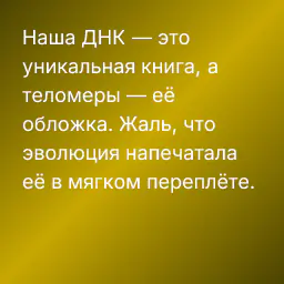 Наша ДНК — это уникальная книга, а теломеры — её обложка. Жаль, что эволюция напечатала её в мягком переплёте.