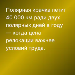 Полярная крачка летит 40 000 км ради двух полярных дней в году — когда цена релокации важнее условий труда.