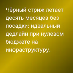 Чёрный стриж летает десять месяцев без посадки: идеальный дедлайн при нулевом бюджете на инфраструктуру.