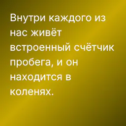Внутри каждого из нас живёт встроенный счётчик пробега, и он находится в коленях.