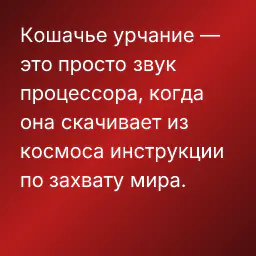 Кошачье урчание — это просто звук процессора, когда она скачивает из космоса инструкции по захвату мира.