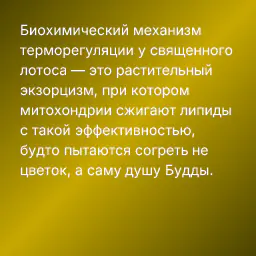 Биохимический механизм терморегуляции у священного лотоса — это растительный экзорцизм, при котором митохондрии сжигают липиды  с такой эффективностью, будто пытаются согреть не цветок, а саму душу Будды.