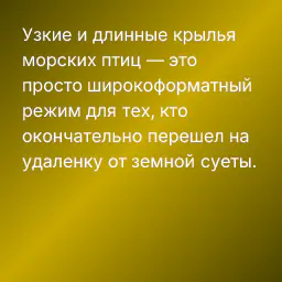 Узкие и длинные крылья морских птиц — это просто широкоформатный режим для тех, кто окончательно перешел на удаленку от земной суеты.