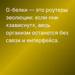 G-белки — это роутеры эволюции: если они «зависнут», весь организм останется без связи и интерфейса.