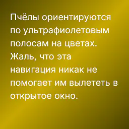 Пчёлы ориентируются по ультрафиолетовым полосам на цветах. Жаль, что эта навигация никак не помогает им вылететь в открытое окно.