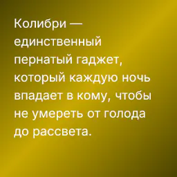 Колибри — единственный пернатый гаджет, который каждую ночь впадает в кому, чтобы не умереть от голода до рассвета.