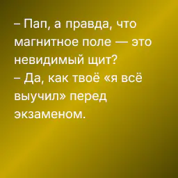 – Пап, а правда, что магнитное поле — это невидимый щит?
– Да, как твоё «я всё выучил» перед экзаменом.